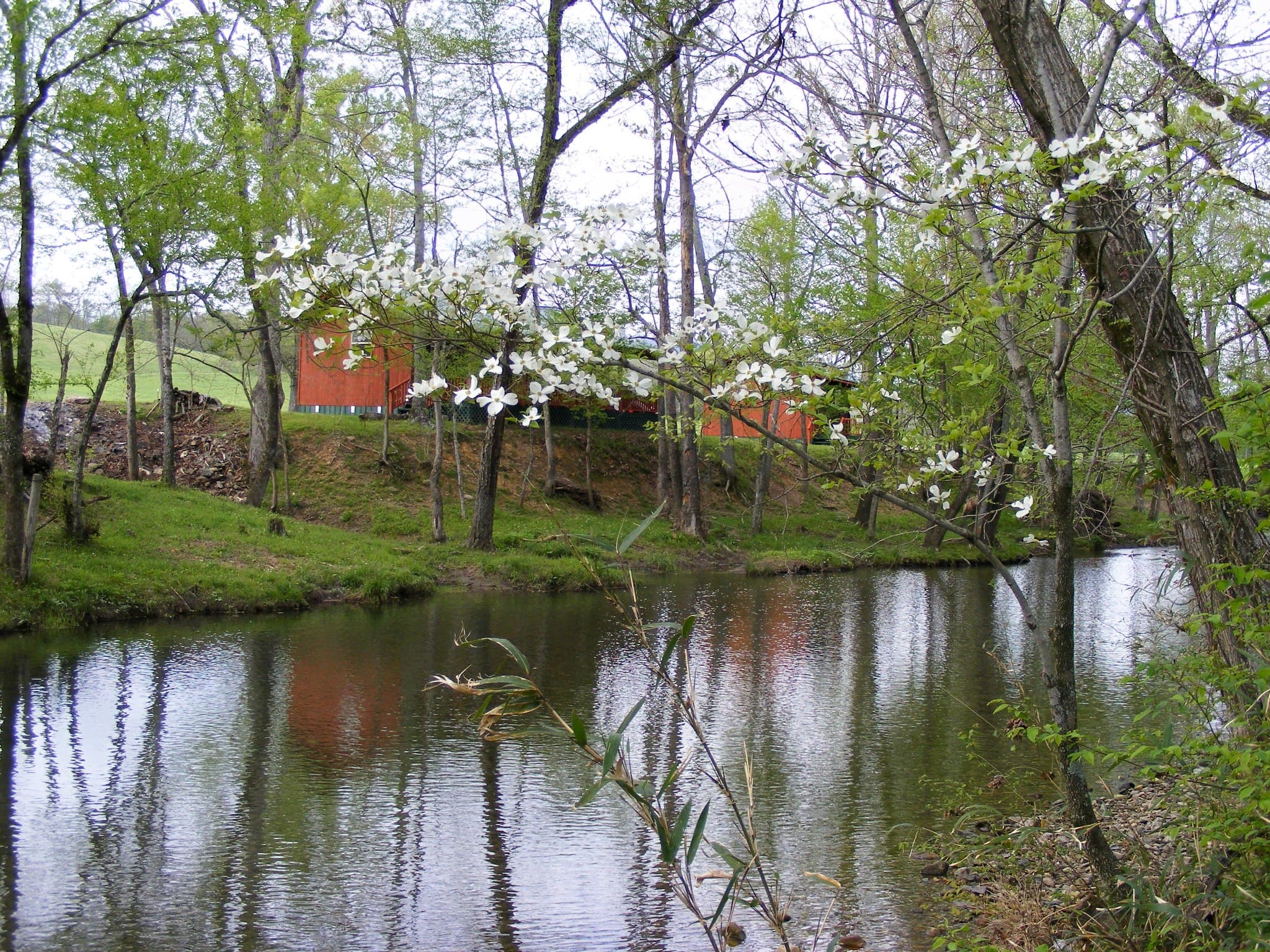 At Living Waters Cabins in Glenwood Arkansas