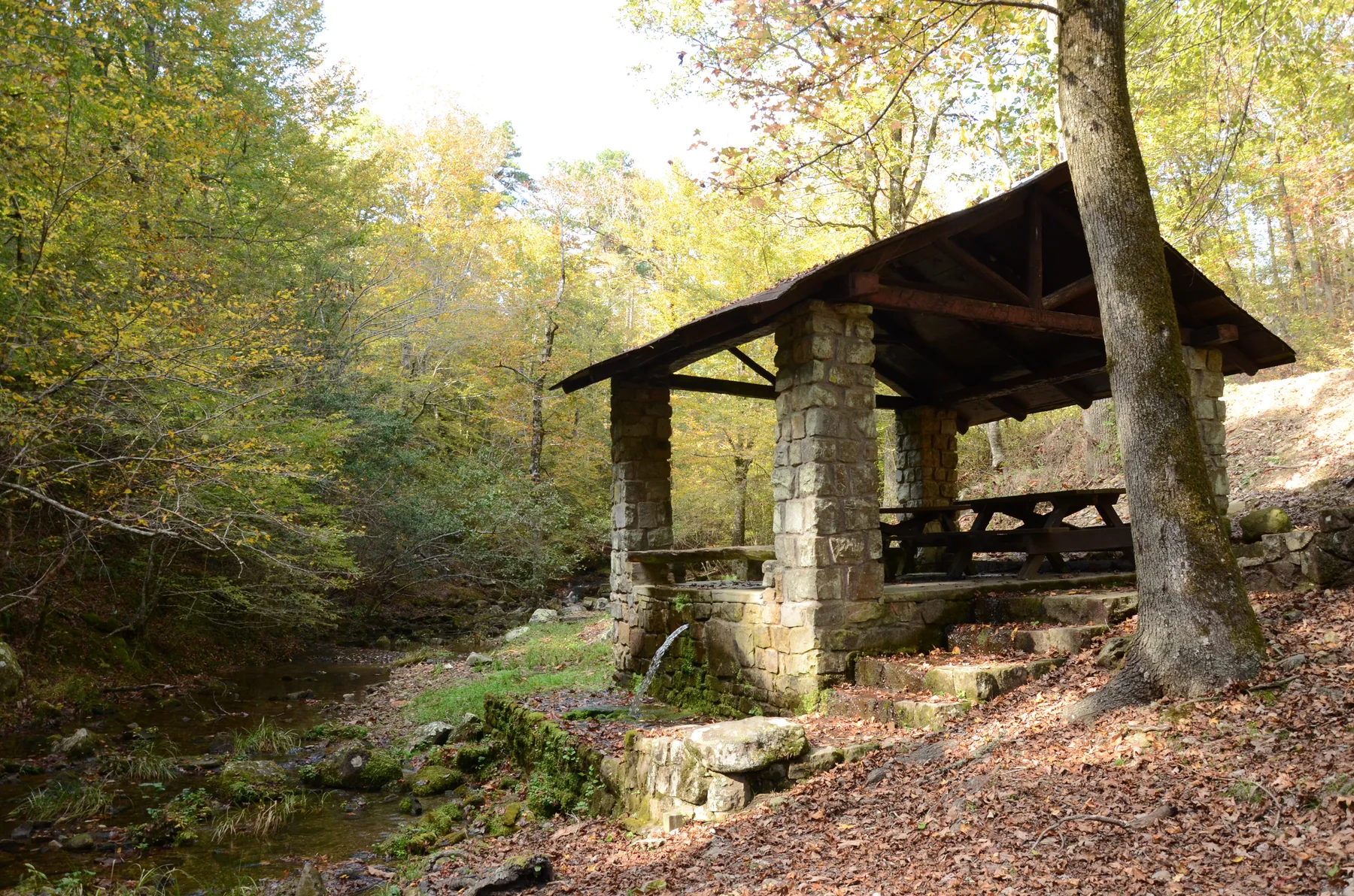 Collier Springs Day Use Area